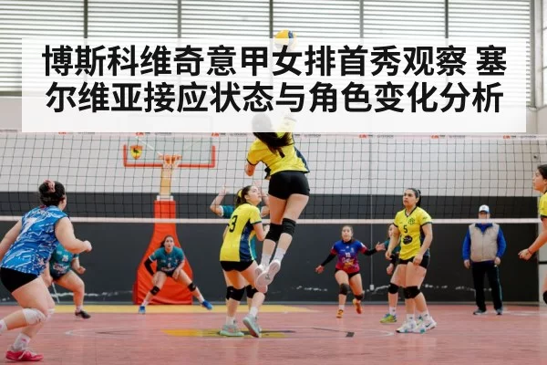 volleyball match arena