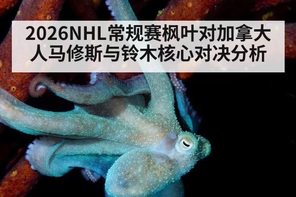 2026NHL常规赛枫叶对加拿大人马修斯与铃木核心对决分析