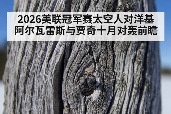2026美联冠军赛太空人对洋基 阿尔瓦雷斯与贾奇十月对轰前瞻